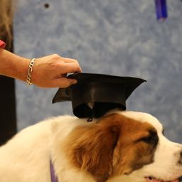 photograph by PeterW